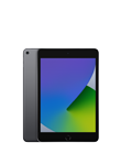 iPad mini (5. Generation)